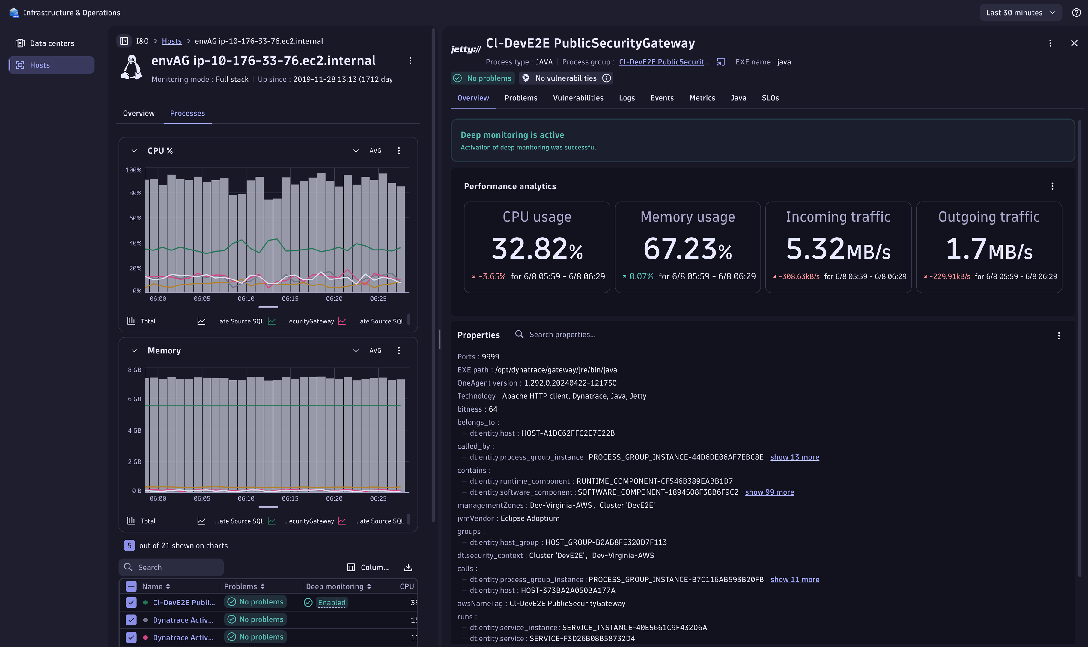 Process health overview with properties, problems, logs, code module metrics and more.