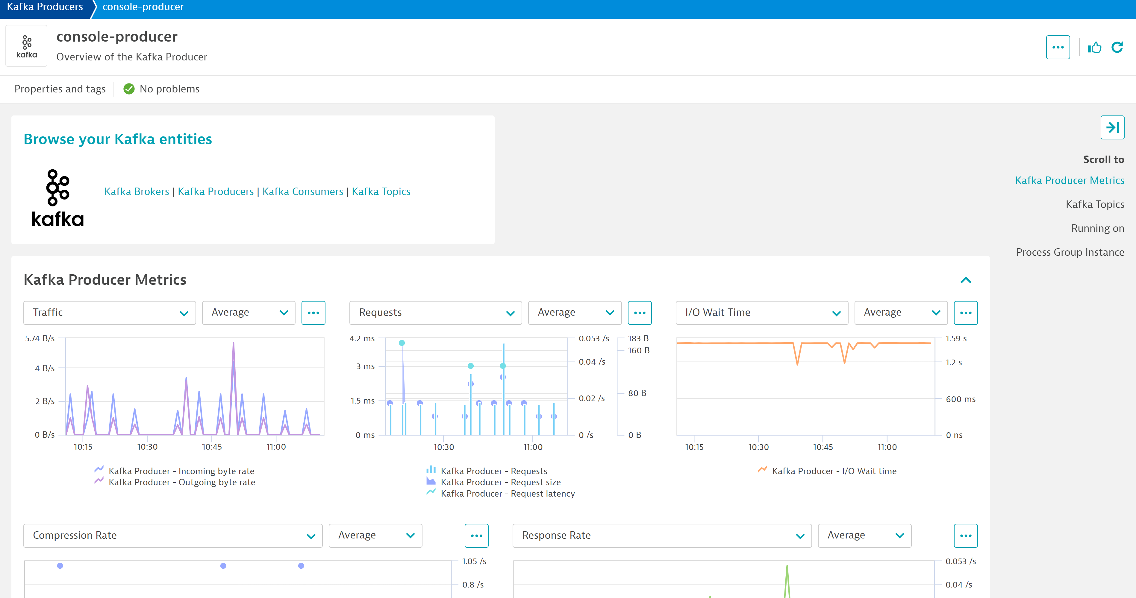 Dedicated screens also for your Kafka producers, consumers and topics.