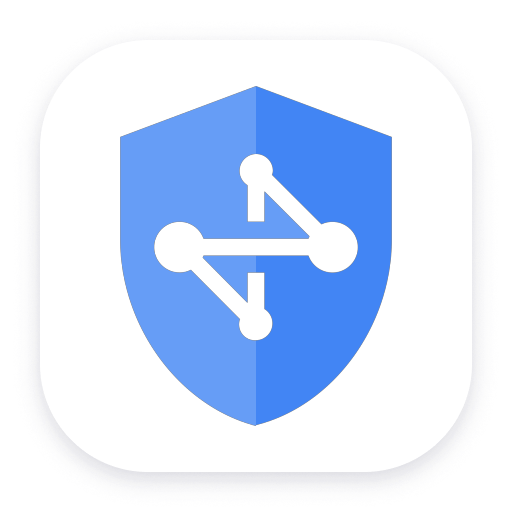 Google Network Security logo