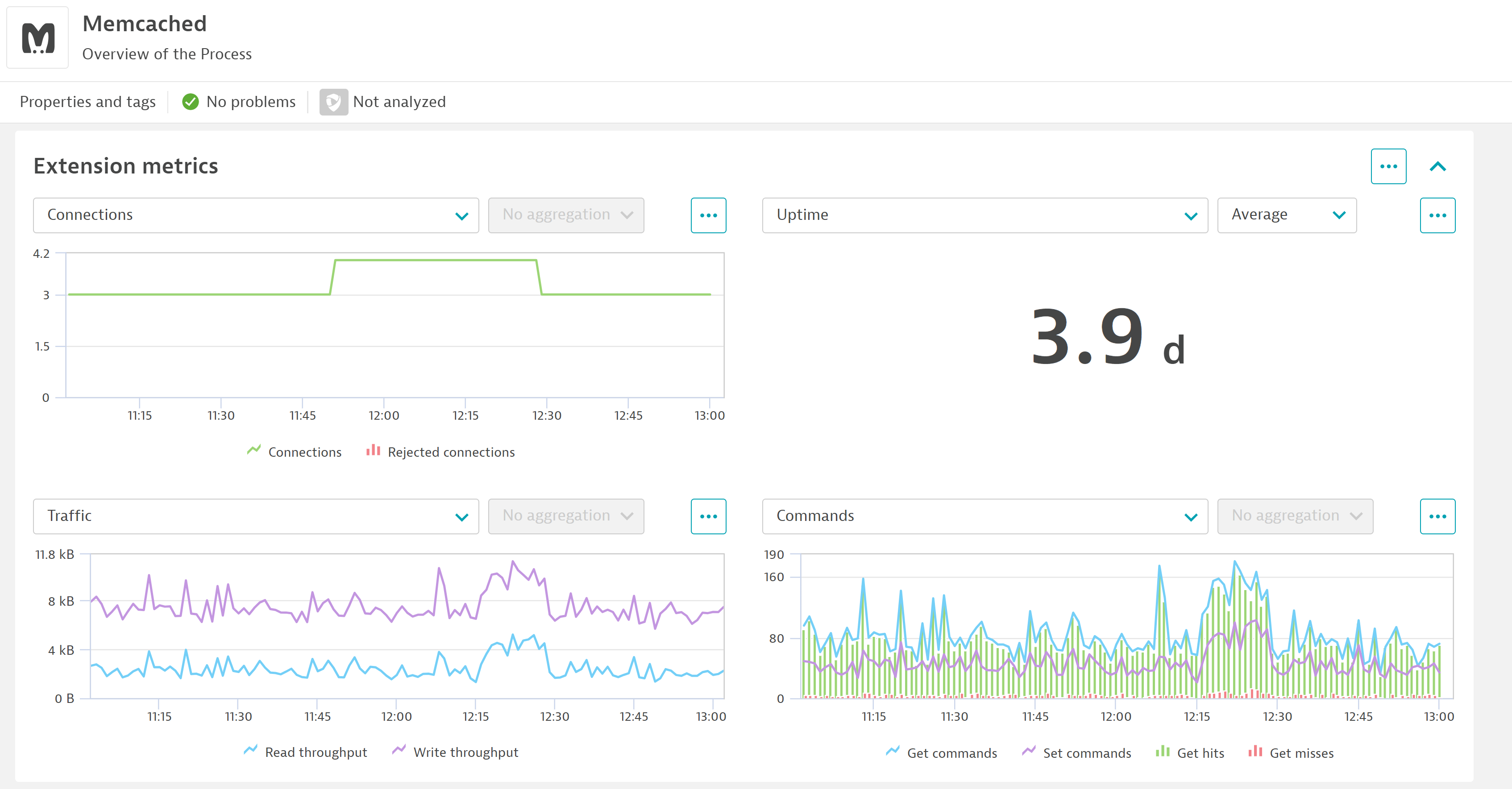 Monitor each memcached instance individually with all of their key metrics by activating the extension on your environment. The extension's metrics are added automatically to the process screen.