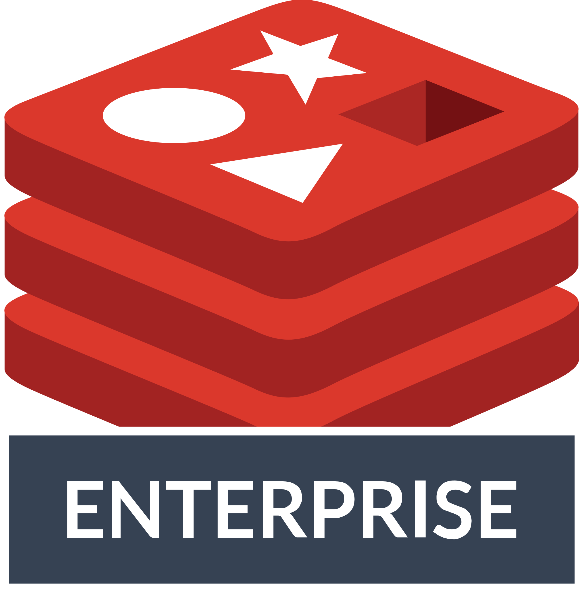 Redis Enterprise logo