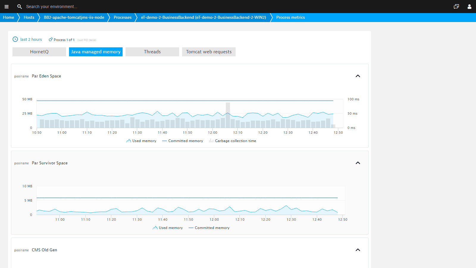 java memory monitor eclipse