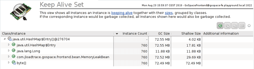 The keep alive set shows the objects that are being dominated or kept alive by the HashMap$Entry Array.