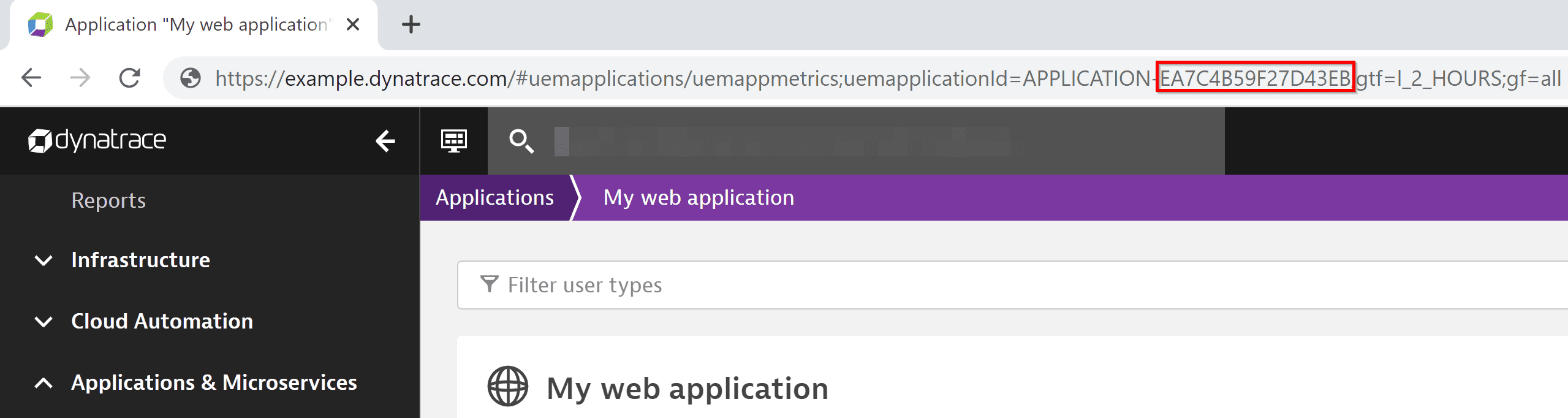 Checking the application ID in the Dynatrace web UI
