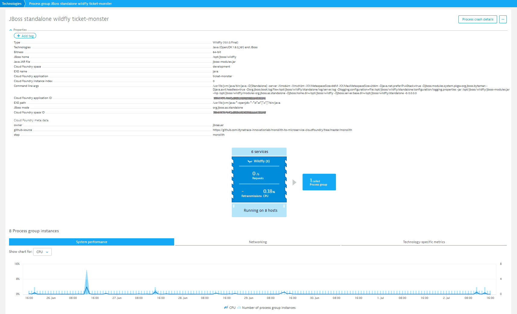 Cloud Foundry metadata