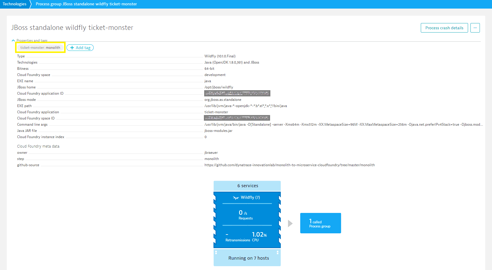 Cloud foundry metadata