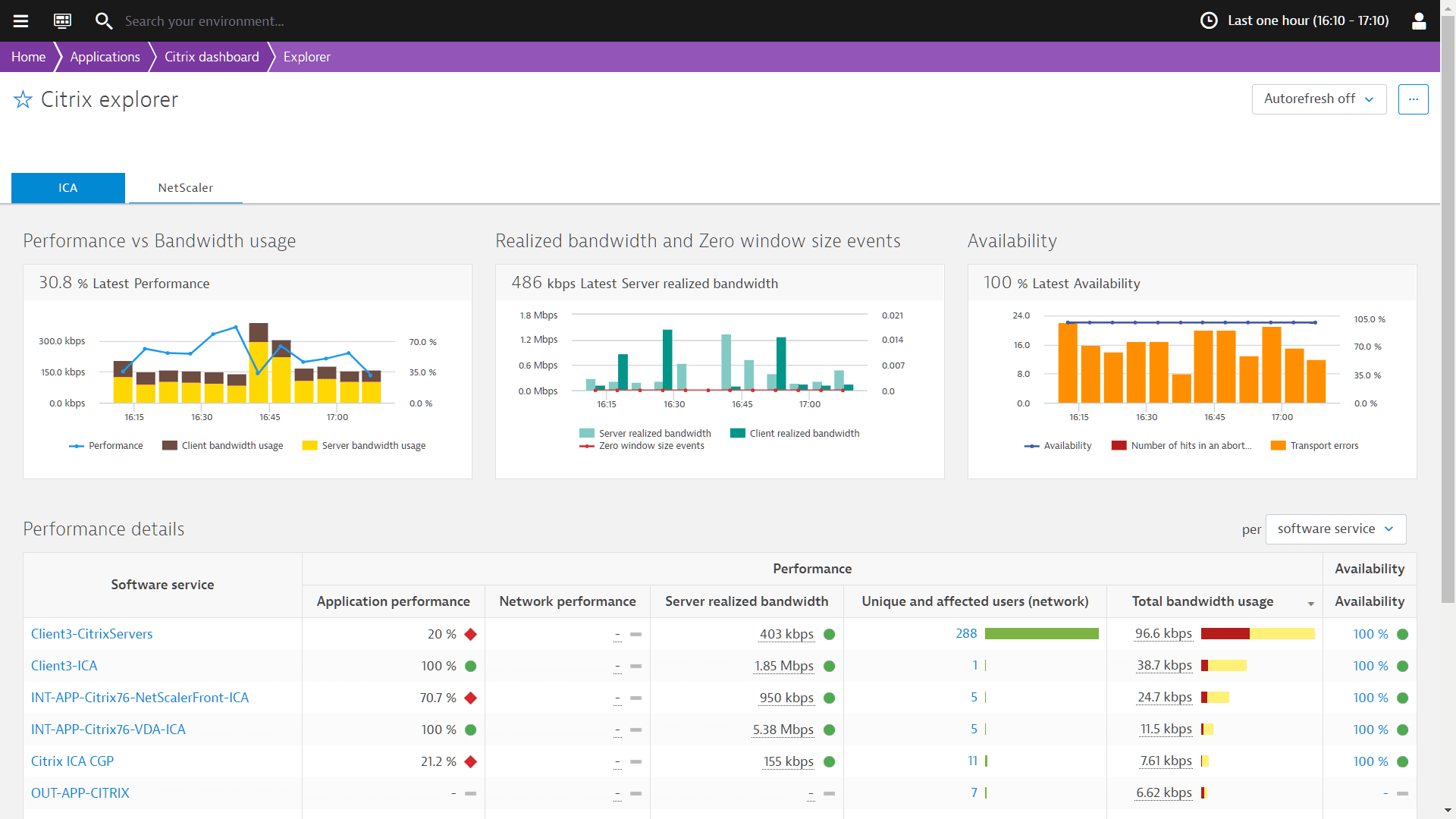 Citrix Report