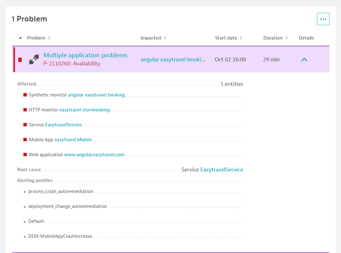 Expanded problem details