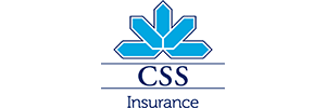 CSS logo