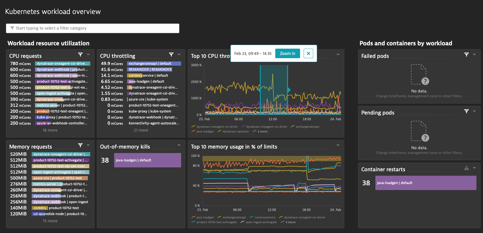 Dashboard zoom function