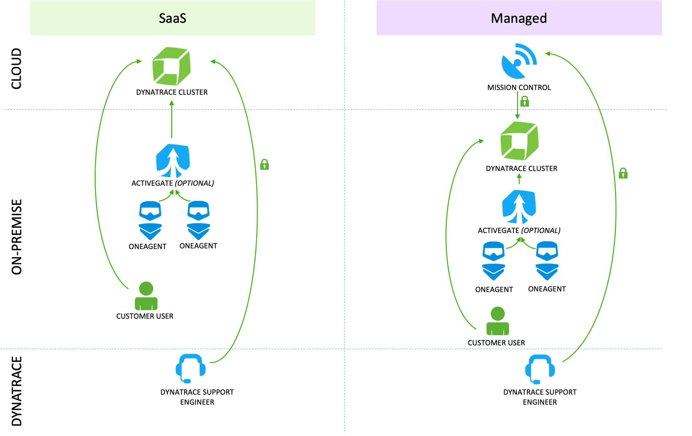 Data access for Dynatrace support