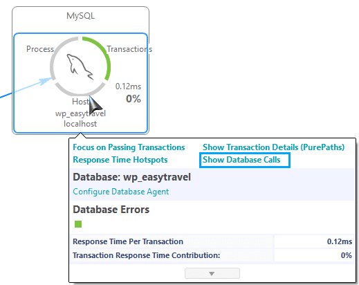 Show Database Calls