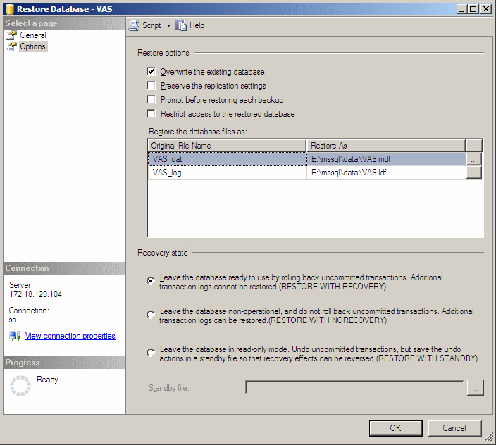 Restore database dialog, options page