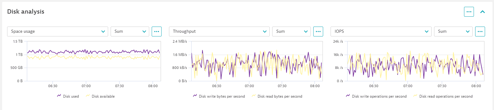 Host overview: disk analysis