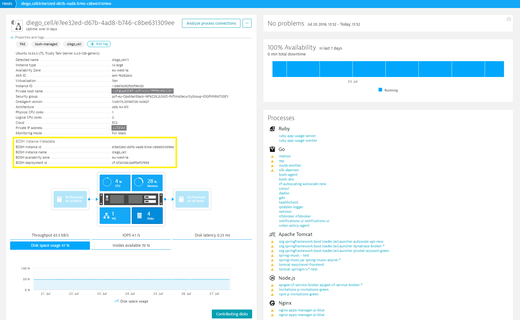 Bosh-managed VMs