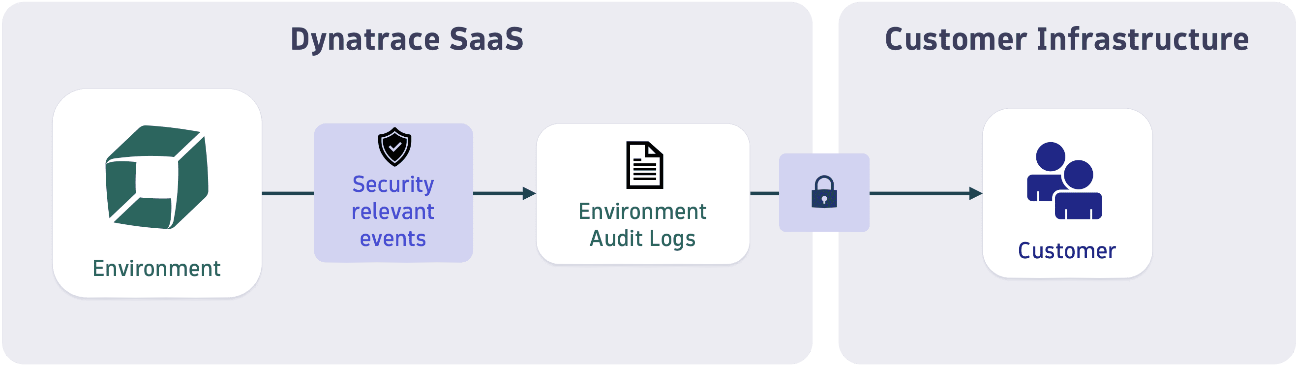 dynatrace-data-security-audit-logs