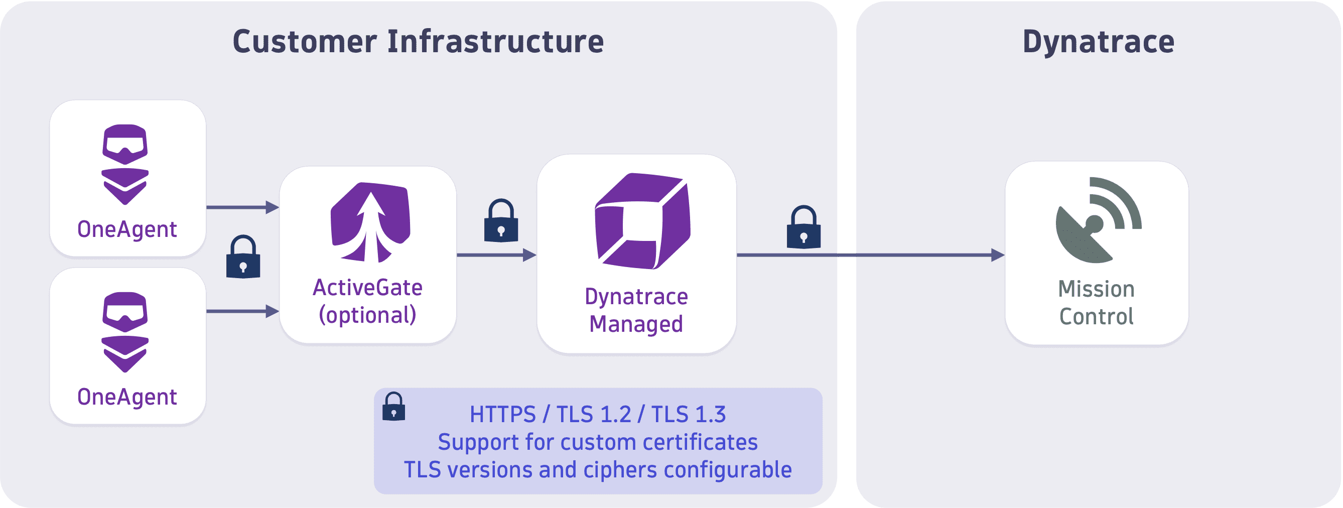 dynatrace-data-security-managed-data-in-transit