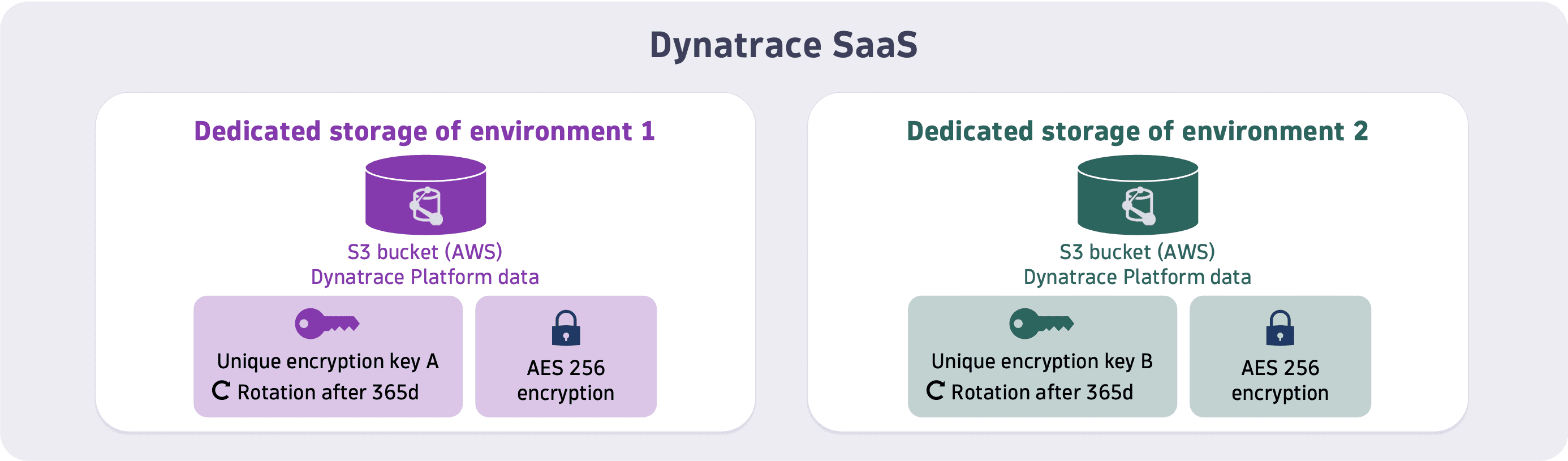 Dynatrace SaaS platform data encryption at rest