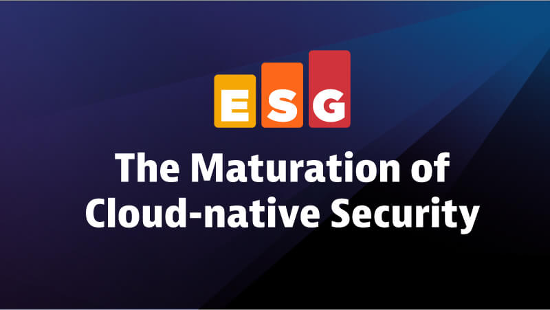 ESG Application Security eBook