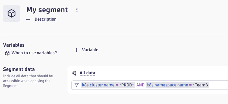 Example: wildcards in Segments