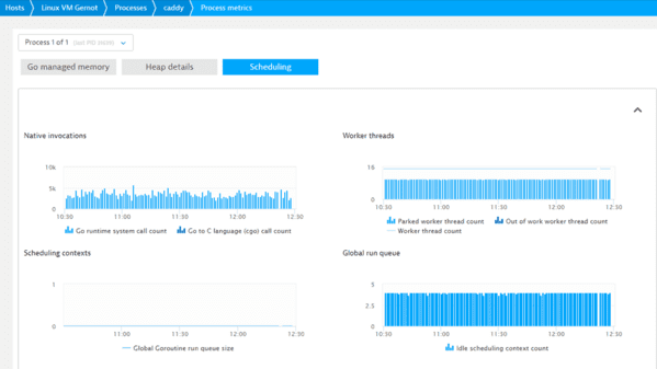 Golang monitoring | Dynatrace