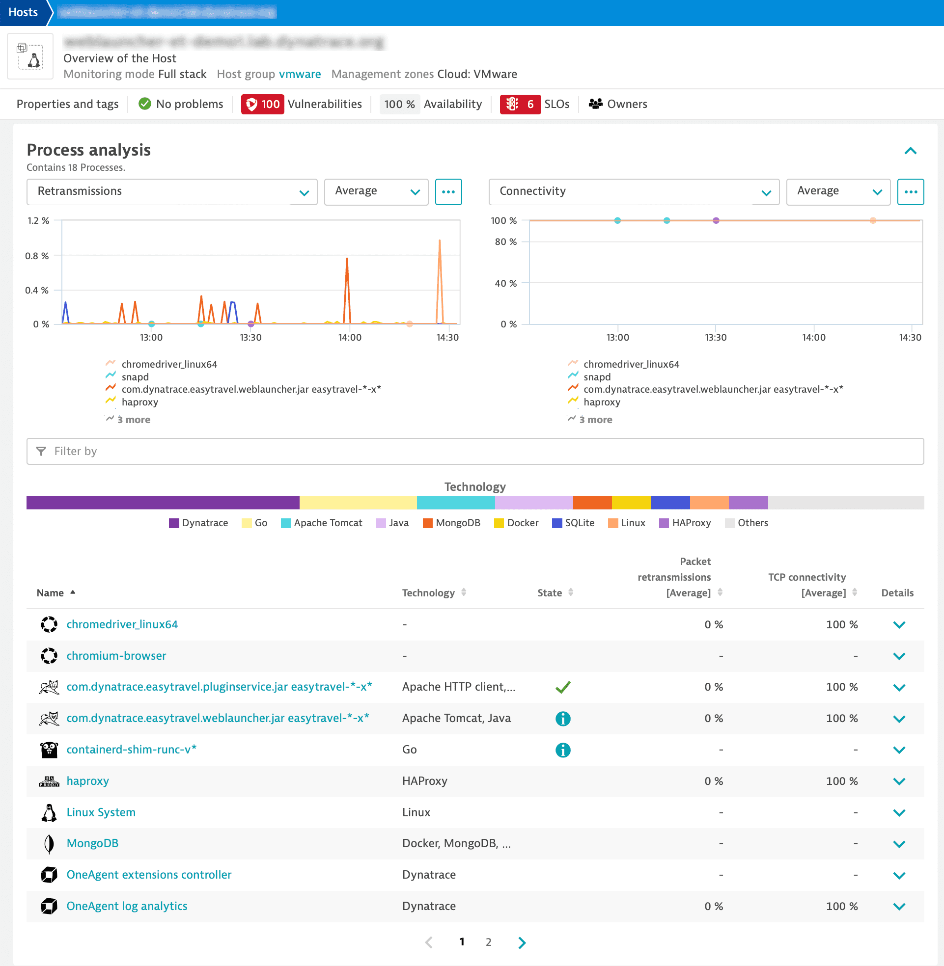 Host process analysis