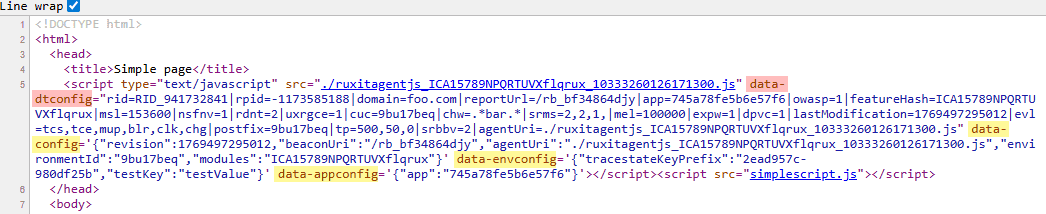 Injected RUM JavaScript