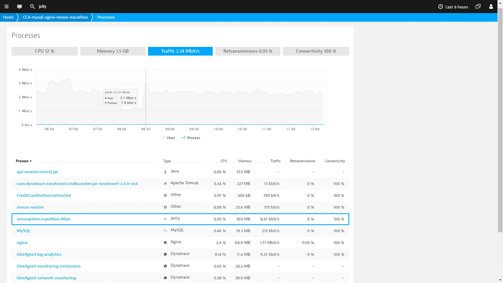 Jetty monitoring and performance management screenshot