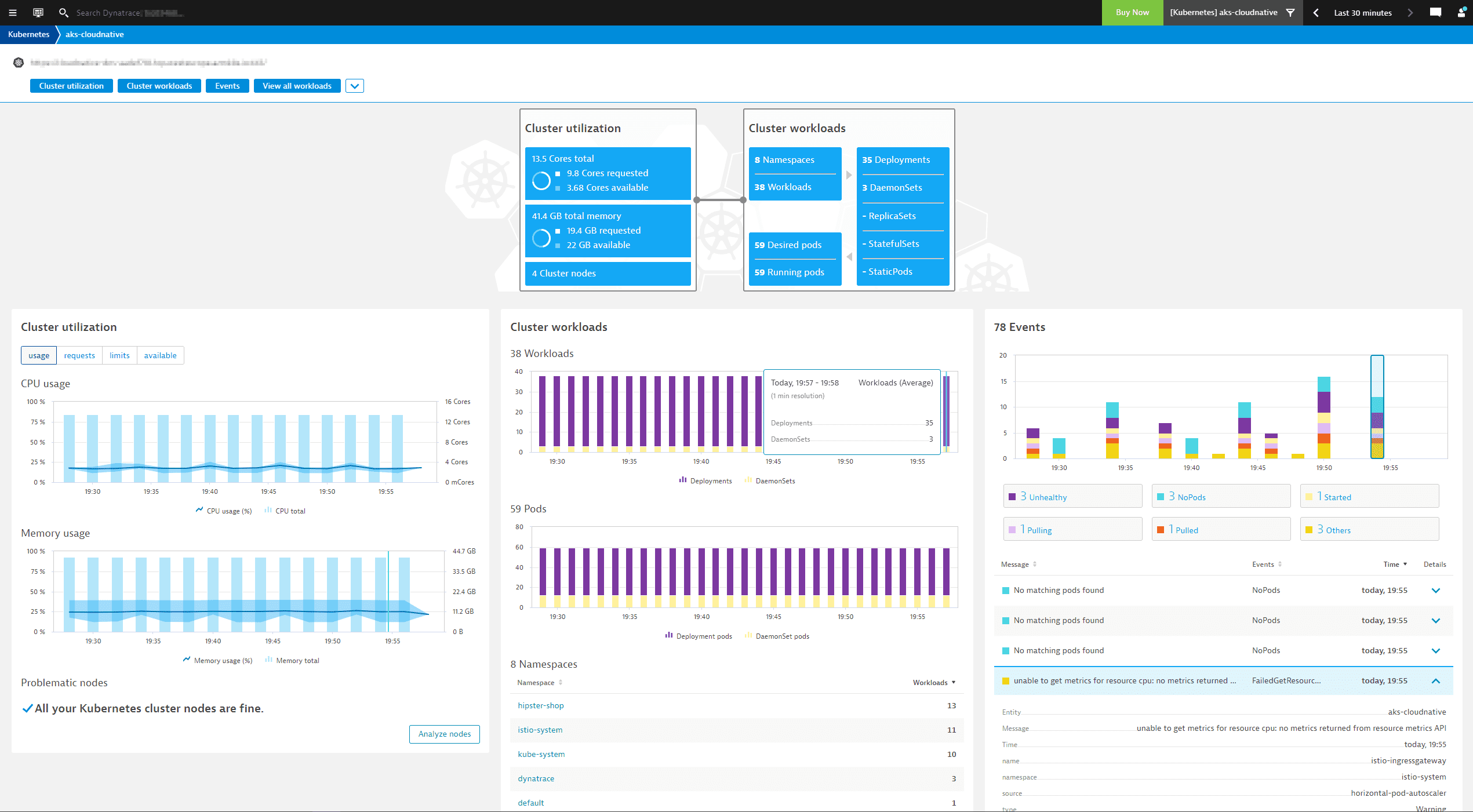 K8s cluster overview