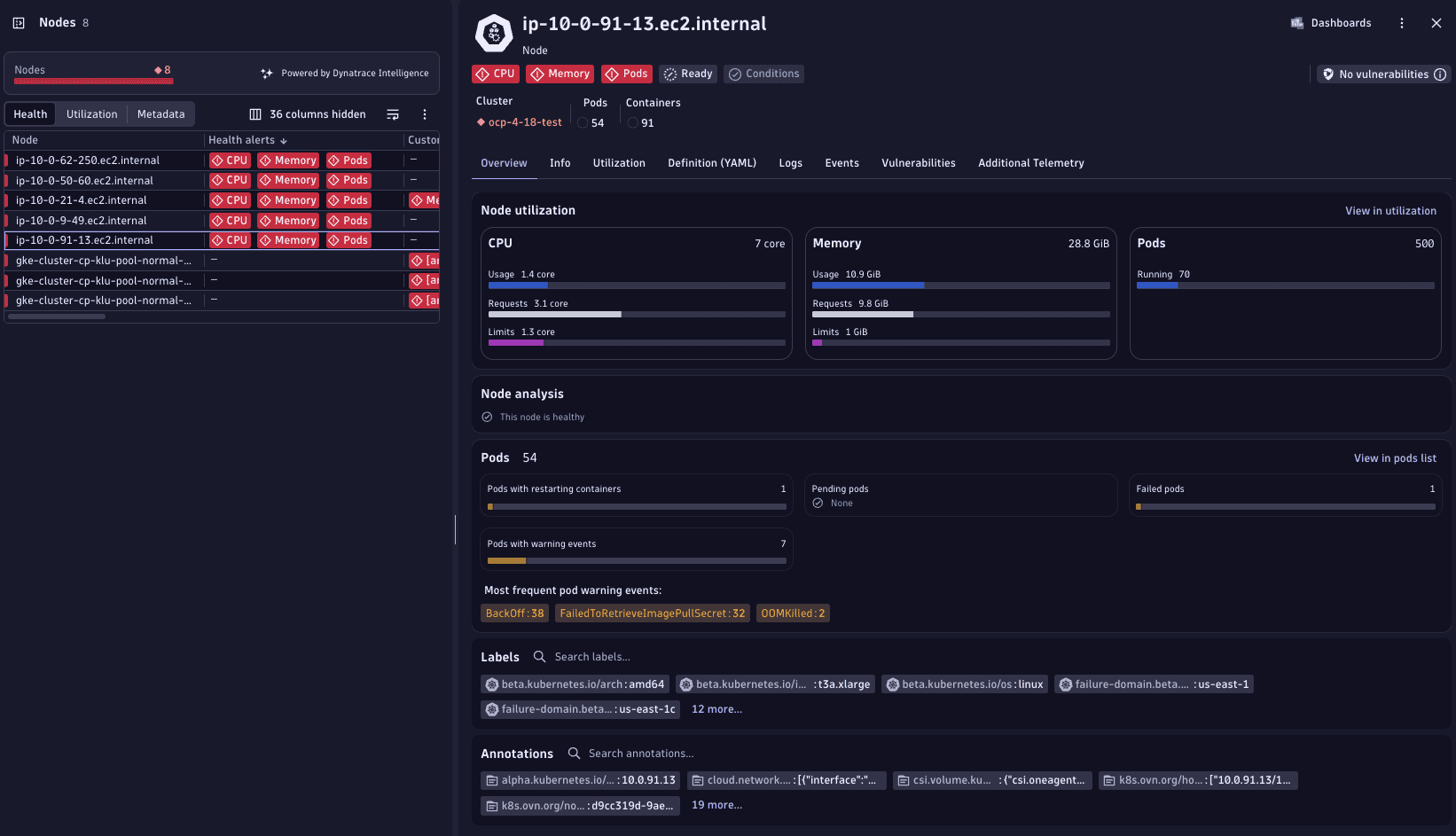 Kubernetes app- Nodes > node details
