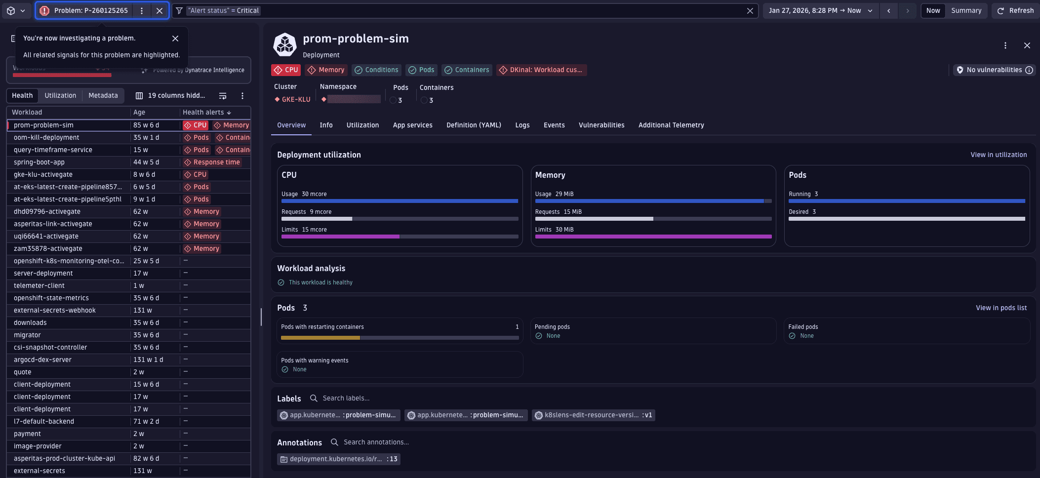Kubernetes workload problem mode