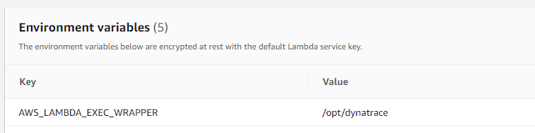 Lambda environment variables cropped
