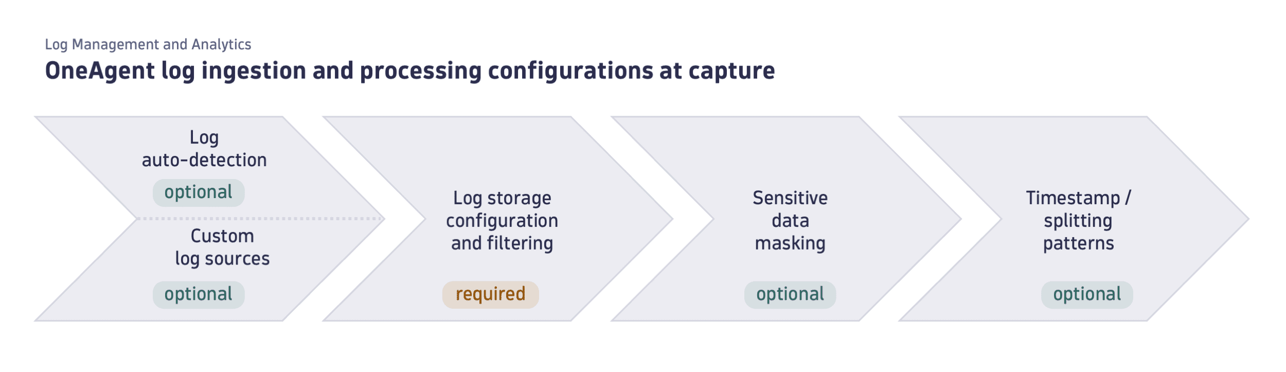 LMA - OneAgent log ingestion and processing configurations at capture