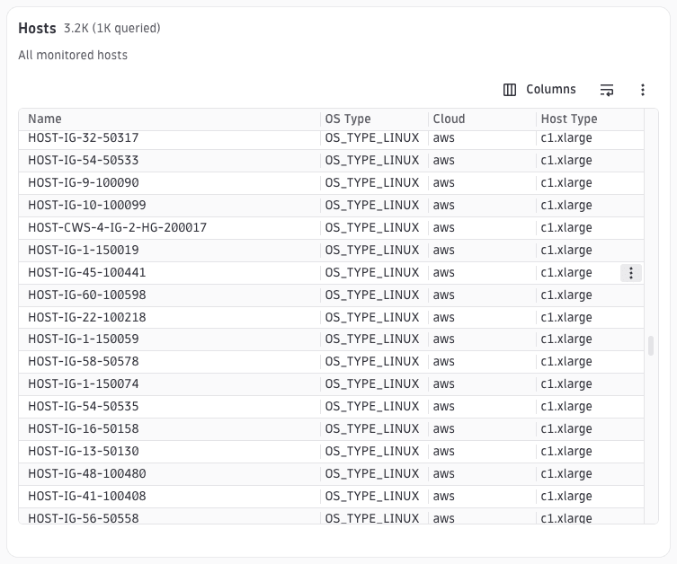 Minimal DQL table showing host name, OS type, cloud provider, and host type columns
