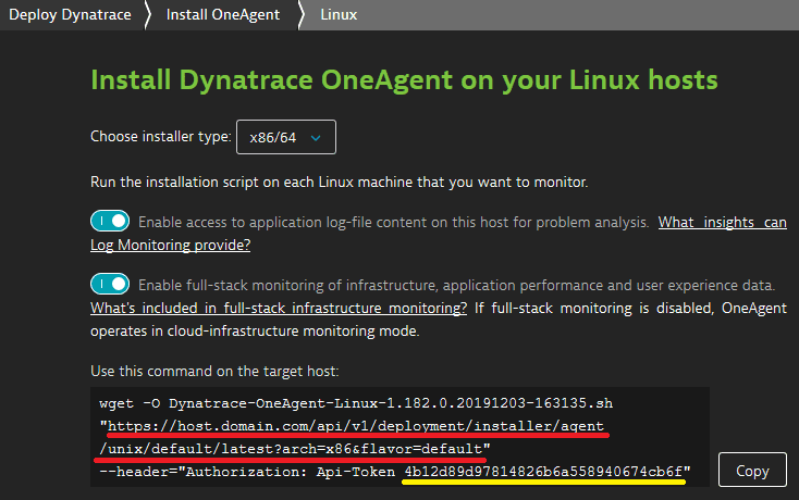 OneAgent installation page with URL to be modified