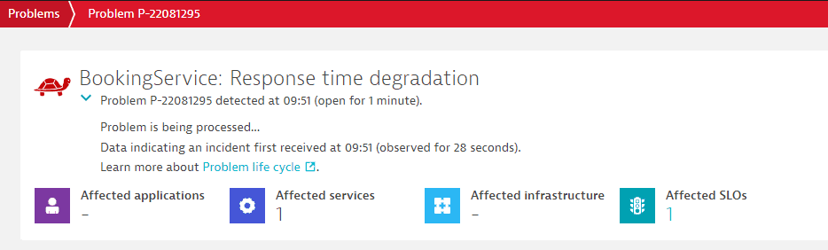 Detected Problem going through the "Processing" state