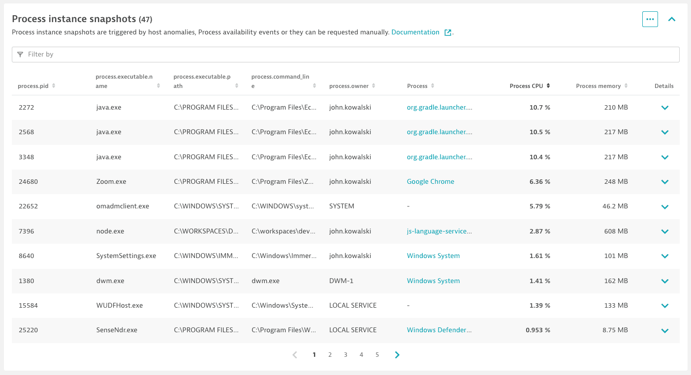 Process instance snapshot