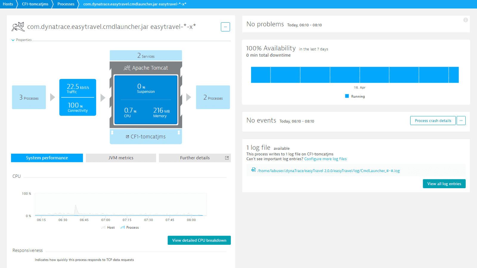 Perform detail. Vidjet Dynatrace.