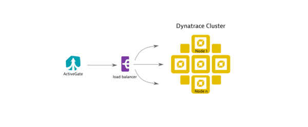 Reverse proxy or load balancer for ActiveGate — Dynatrace Docs