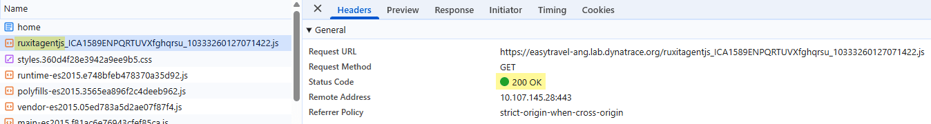 Successful download of the RUM monitoring code