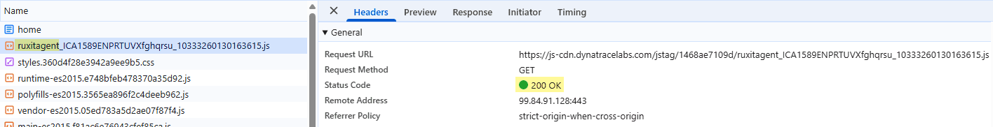 Successful download of the RUM monitoring code in an agentless frontend
