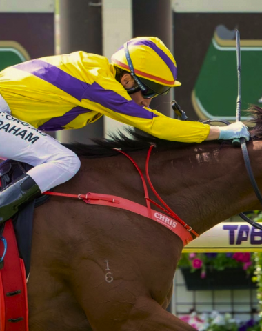 Racing and Wagering Western Australia Cover