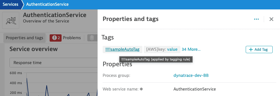 Example of tagging info displayed in web UI