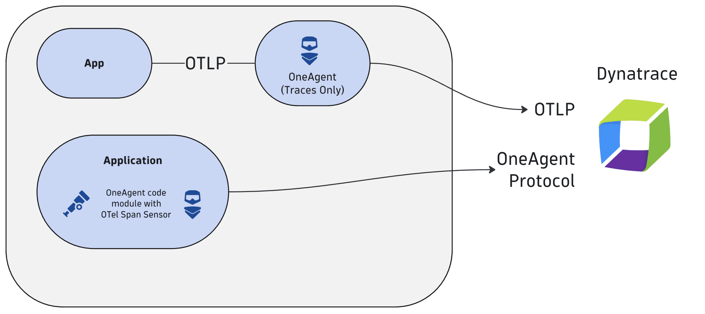 OneAgent send data to Dynatrace