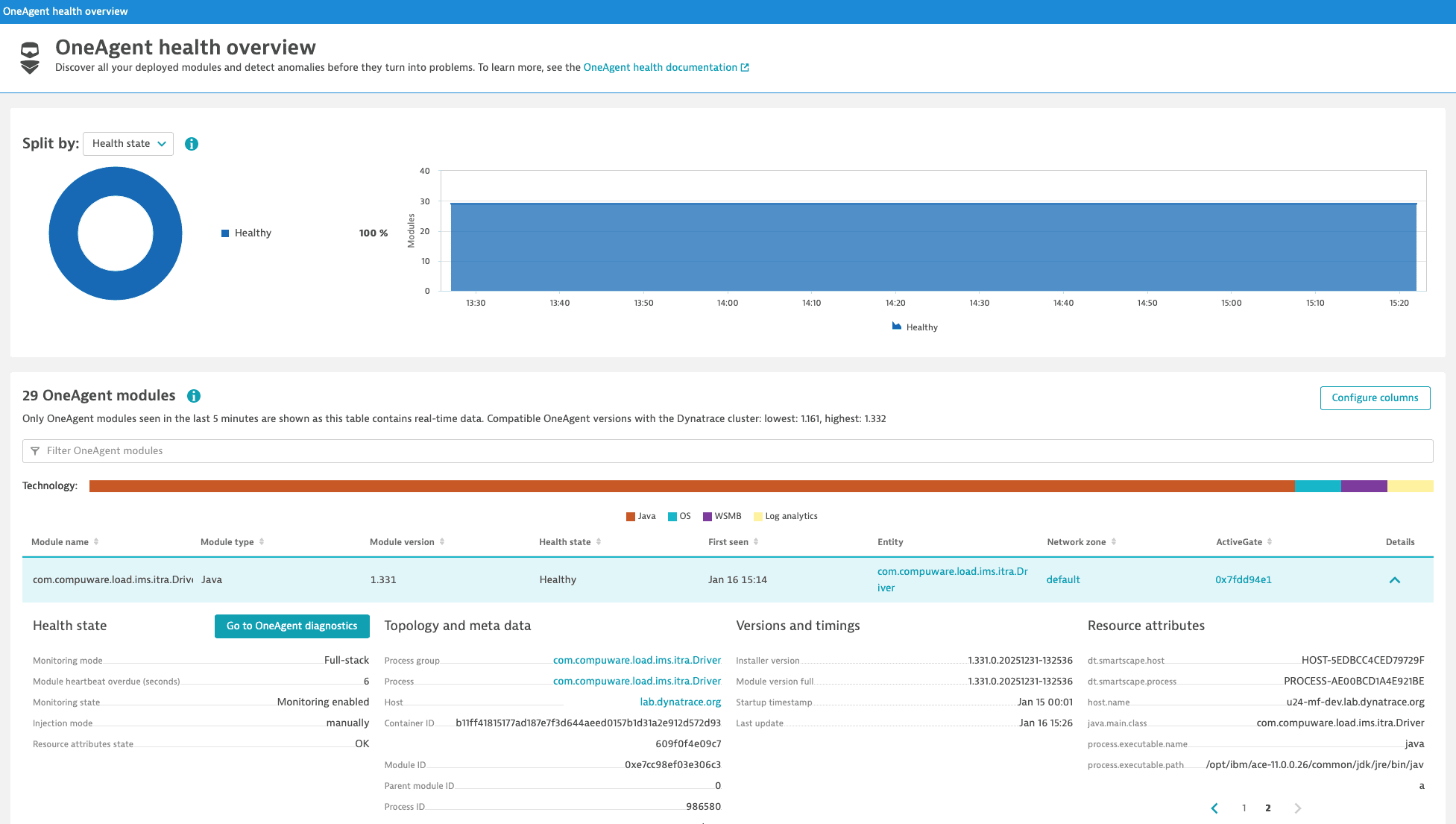 OneAgent resource attributes