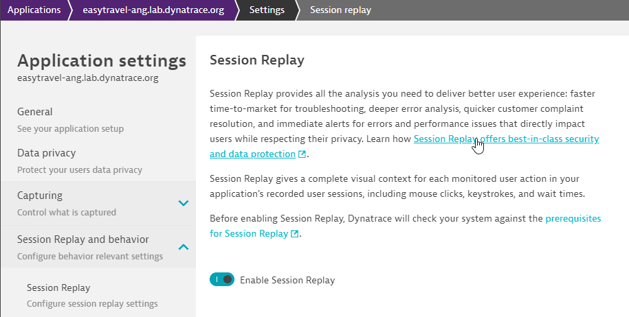 Session Replay security document