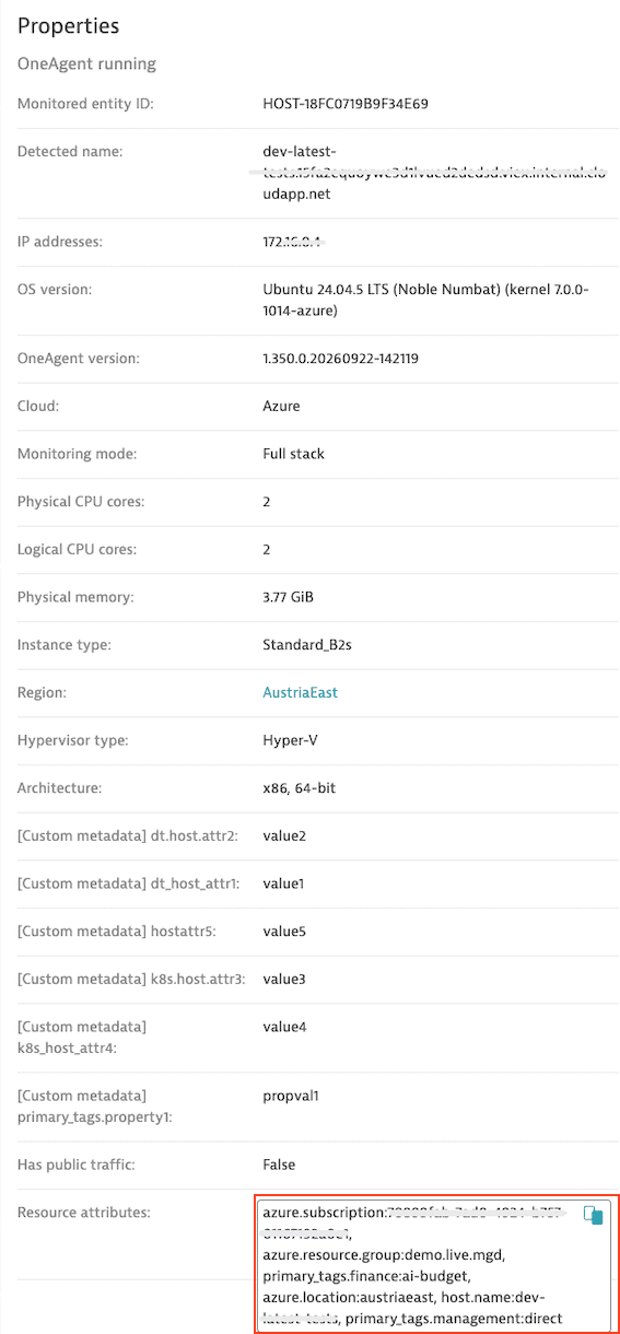 Properties section of an entity page showing where resource attributes appear