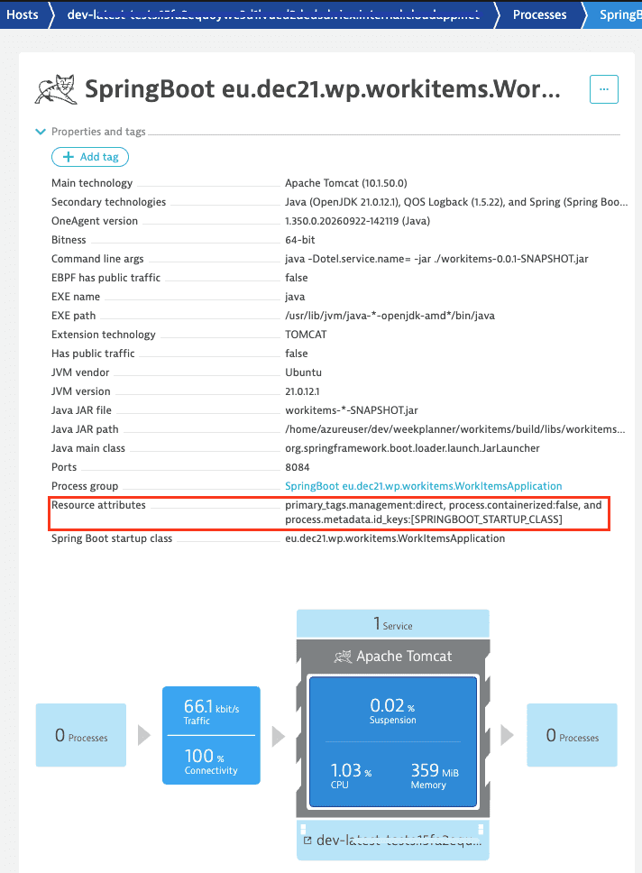 Resource attributes listed in the Properties section of a process entity page