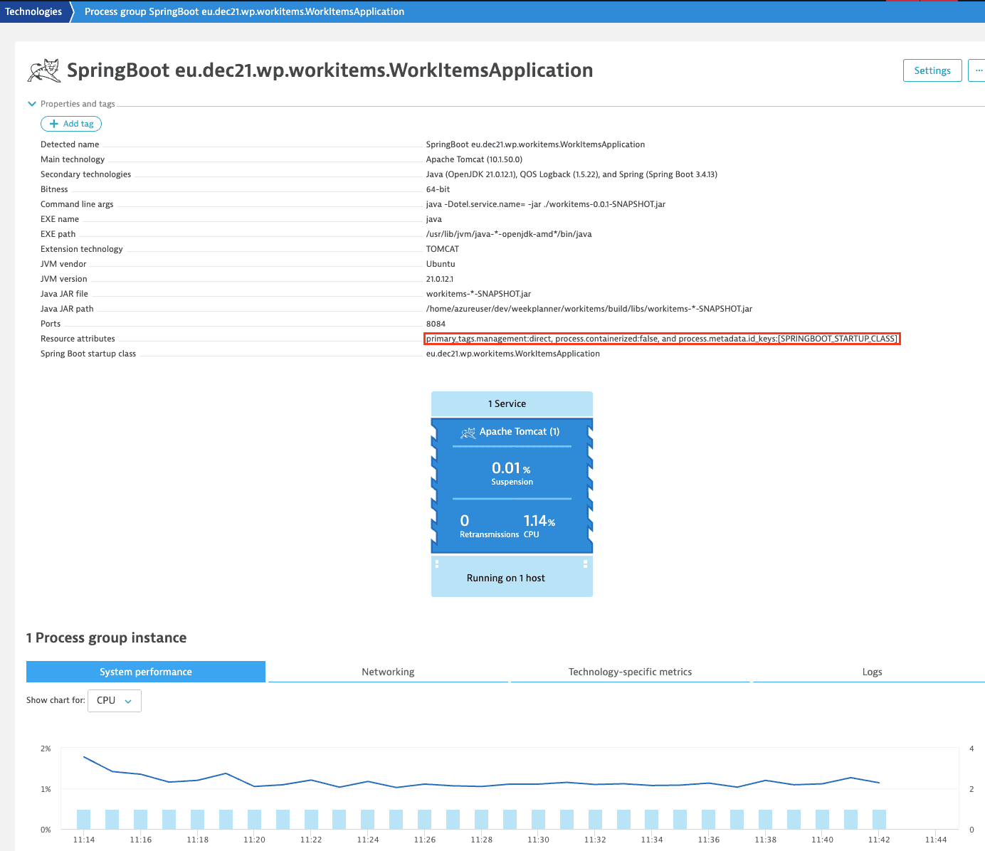 Resource attributes propagated from processes and listed on a process group entity page