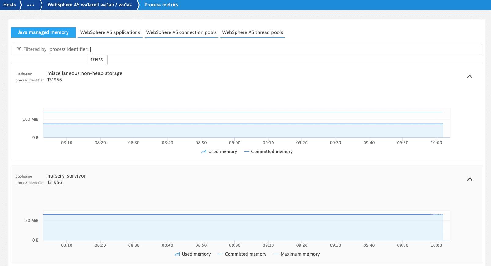 Metrics process identifier